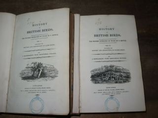 1821 A History Of British Birds By Bewick Vols I & Ii 261 Species Illustrated