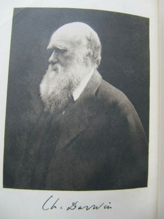 Charles Darwin: Origin Of The Species (1900) - Uncommon