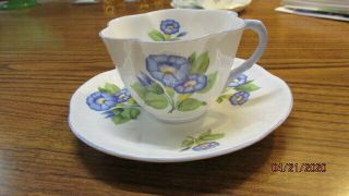 Vintage Shelley Cup & Saucer Morning Glory Dainty Shape