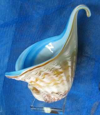Vintage Murano Art Glass Colored Swirl Conch Shell Cornucopia Vase Quality