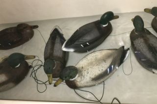 8 Vintage Neumann And Bennetts Plasti - Duk Duck Decoys