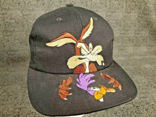 1995 Looney Tunes Road Runner - Wile E Coyote Snapback Cap Hat Wb Vintage