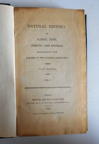 1808 Buffon Natural History Vol.  1 Birds Fish Insects Reptiles 13 Colour Plates