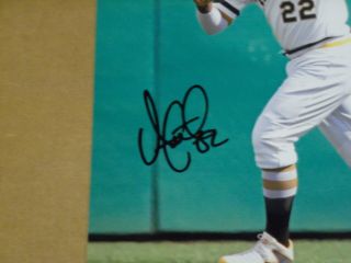 Pgh Pirates,  Andrew Mccutchen,  Signed 8 X 10 Photo,  Fly Ball,