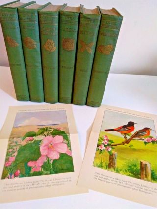 6 Book Set Little Nature Library 1925,  Rare Illustration Pages Doubleday,  Page