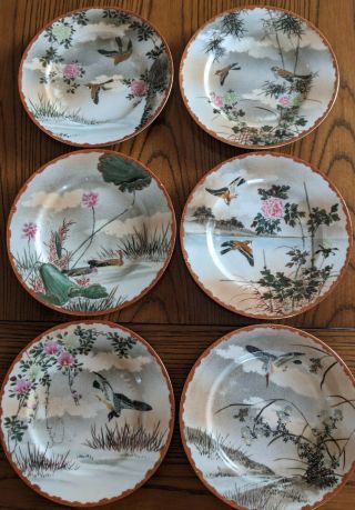 Vintage Japanese Plates,  Birds,  Hand Painted,  Set 6 Eggshell Porcelain Vgc 7 "