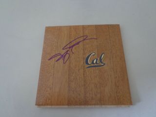 Shareef Abdur - Rahim Signed California Golden Bears Floorboard Floor Cal