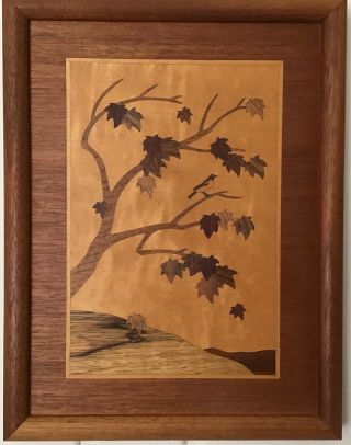 Vintage Hudson River Marquetry Wood Inlay Art Signed Nelson Bird In Maple Tree
