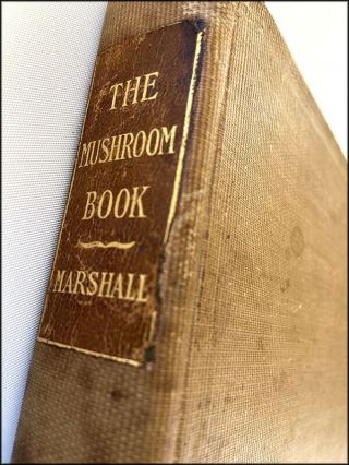 Rare 1901 1st Ed The Mushroom Book By Nina L Marshall Doubleday Page Illustrated