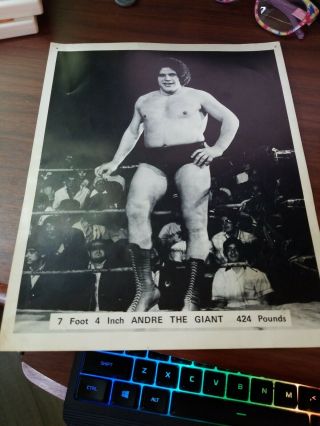 Andre The Giant Tallest Vintage Wrestling Wwe Wwf Wcw Nwa 8x10 Promo Photo