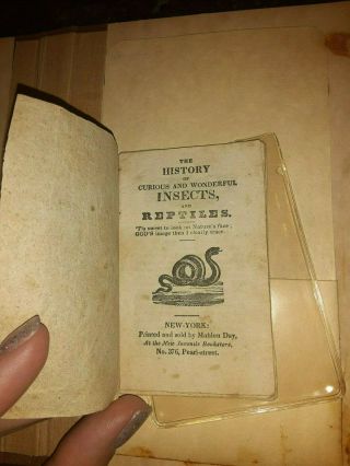 Early American Chapbook Artist Alexander Anderson Circa 1820 History Of Insects