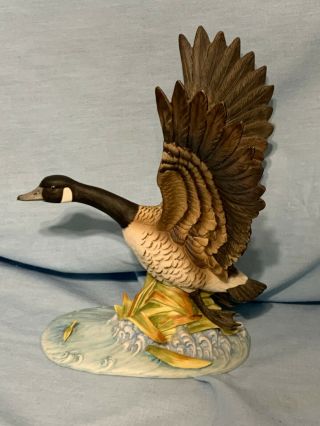 Vintage Canada Goose Andrea By Sadek Porcelain Collectible Figurine Euc 10 " Tall