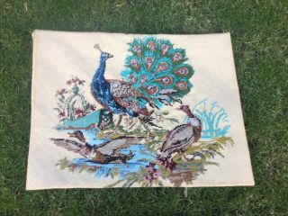 Large Vintage Tapestry Embroidered Picture Hand Stitch Peacock Peahen Birds