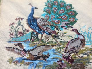 LARGE VINTAGE TAPESTRY EMBROIDERED PICTURE HAND STITCH PEACOCK PEAHEN BIRDS 3