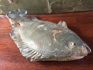 LARGE VINTAGE HAND MADE SIGNED PAINTED PLASTER FISH HANGING WALL SCULPTURE 2