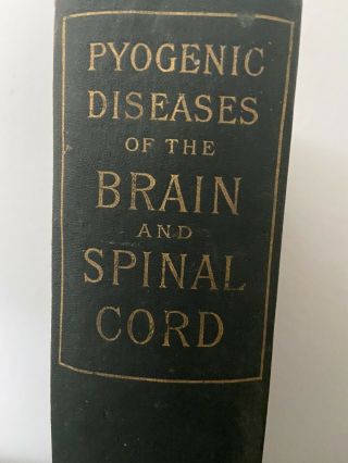 “pyogenic Diseases Of The Brain And Spinal Cord” Medical Textbook 1893 Glasgow