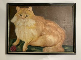 Wonderful Vintage American Folk Art Red Tabby Cat Oil Painting Signed Graaff