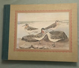 Treasury Of Bird Paintings Rex Brasher 162 Full - Color Plates W/ Text By Artist
