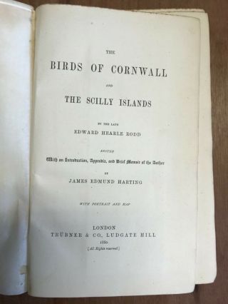 E H Rodd ‘the Birds Of Cornwall And The Scilly Islands’ First Edition 1880 (1236