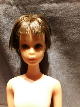 Vintage Brunette Francie Barbie Doll with clothes 2