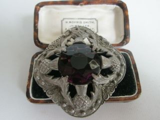 Vintage Large Faceted Amethyst Glass Rhinestone Scottish Thistle Brooch Kilt Pin