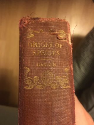 1896 The Origin Of The Species By Charles Darwin (natural Selection Us Ed)