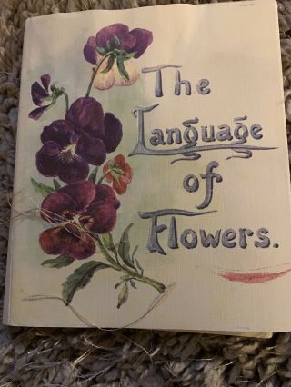 Lovely,  The Language Of Flowers,  Miniature Vintage Book,  Hardback England 1968