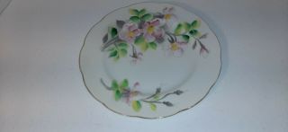 Vintage Kasuga Ware Birthday Floral Series Hand Painted Plate Made In Japan 8 "