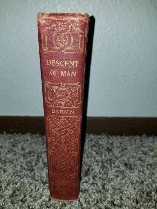 1874 The Descent Of Man In Relation To Sex Charles Darwin