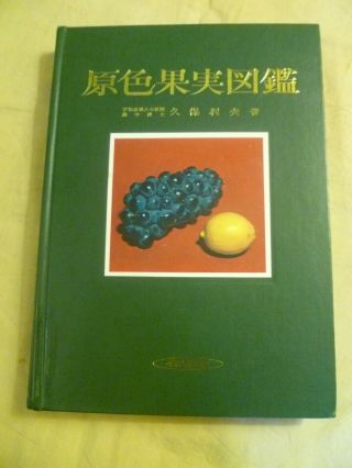 Coloured Illustrations Of The Fruits By Toshio Kubo 1980 Hard To Find