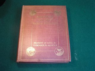 British Sport Past And Present By E D Cuming Hodder & Stoughton 1909
