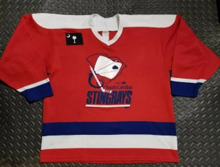 Vintage Ccm South Carolina Stingrays Hockey Jersey Echl Minor League 90s Mens Xl