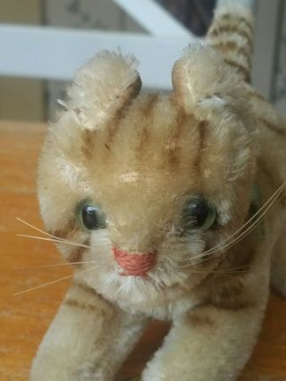 Antique Vintage Mini Steiff Kitten Cat Teddy Bear Friend Ean 1308,  00 3.  5in Euc