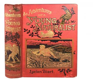 The Adventures Of A Young Naturalist By Lucien Biart,  Illustrated,  1889