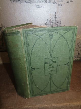 1913 The Descent Of Man By Charles Darwin Evolution Origin Of The Species