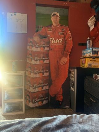 Dale Earnhardt Jr.  Budweiser Cardboard Stand Up