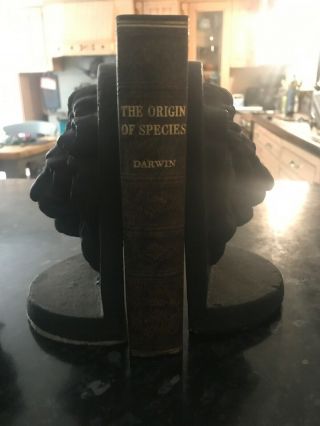 Charles Darwin - Origin Of Species - Odhams Press Hard Back 6th Edition 1872