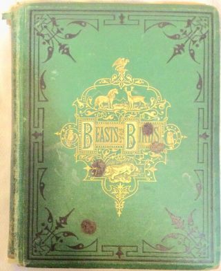 Very Rare 1870 Beasts And Birds American Tract Society Antique Hard Cover Anima