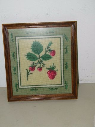 Vintage Framed Needlepoint Finished Strawberry 17378