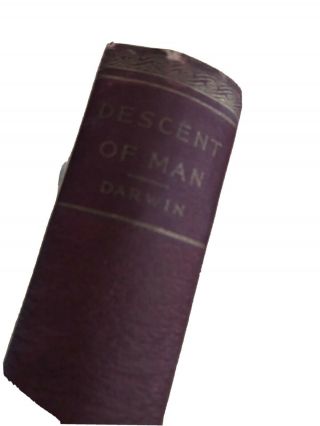 1874 The Descent Of Man & Selection Relation To Sex Charles Darwin A.  L.  Burt Hc