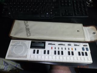 Vintage Casio Vl - Tone Synthesizer Keyboard Piano Calculator With Case