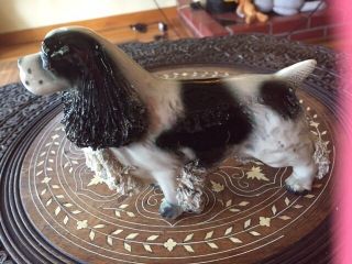 Vintage Ceramic English Springer Spaniel Dog Figurine W Spagetti Hair 7 " X 5 "