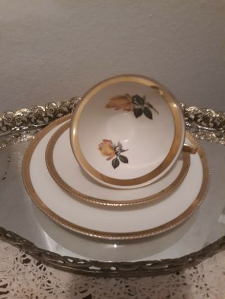 Vtg Bavarian Porcelain Cup Saucer Desert Set Gold Rose Atomic Mid Century Tea