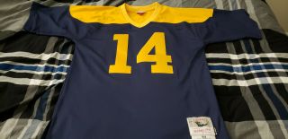 Don Hutson 1944 Green Bay Packers Mitchell & Ness Legacy Jersey - 44 (l)