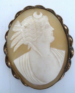 Vintage Large Carved Shell Cameo Pin Brooch W C Clasp 8.  4 Grams 2 " L X 1 1/2 " W