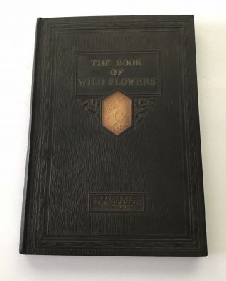 1924 National Geographic Book Of Wildflowers Hardcover Illustrated