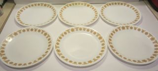 Vtg Corelle Corning Set Of 6 Lunch Plates Gold Flower Butterfly Pattern 8 1/2 "