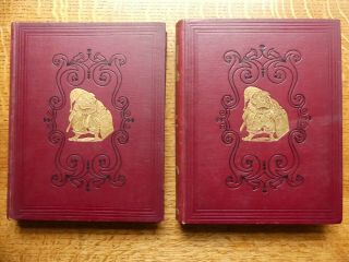 Punch Or London Charivari 1908 Full Year 2 Volumes Political Humour (suffragettes