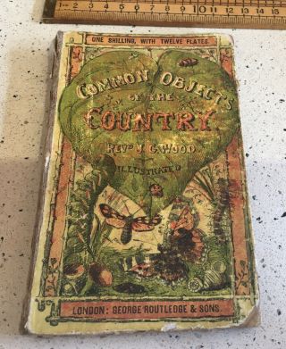 Antique Book,  The Common Objects Of The Country,  J G Wood,  Routledge