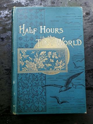 1899 - Half Hours In The Tiny World - Wonders Of Insect Life,  Entemology,  Nature